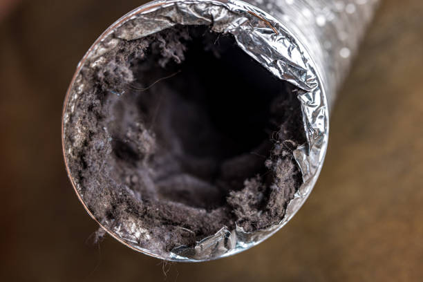 Best Dryer Vent Cleaning Services  in Sesser, IL