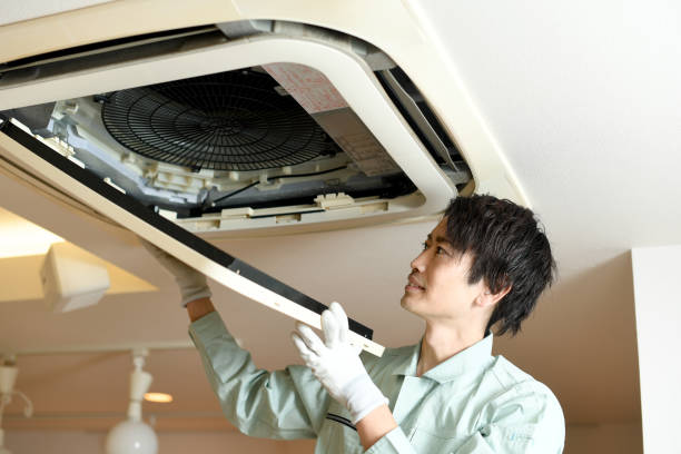 Best Professional Duct Cleaning Services  in Sesser, IL
