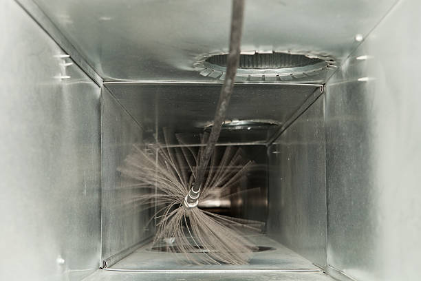 Best Home Air Vent Cleaning  in Sesser, IL