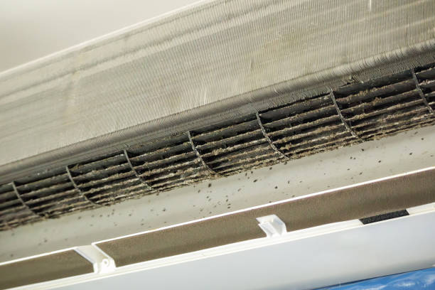 Best Affordable Air Duct Cleaning  in Sesser, IL