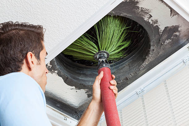Best Air Duct Cleaning Near Me  in Sesser, IL